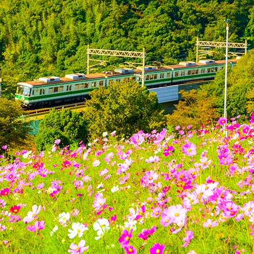 神戸市営地下鉄車両